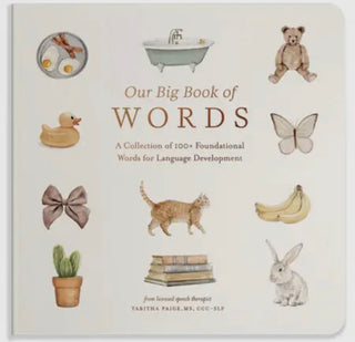 Our Big Book of Words Childrens Book